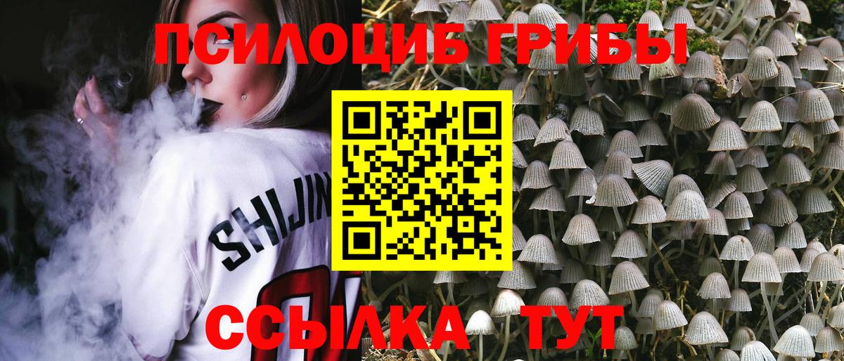 Каменка  Галлюциногенные грибы прущие грибы  Вход с VPN 